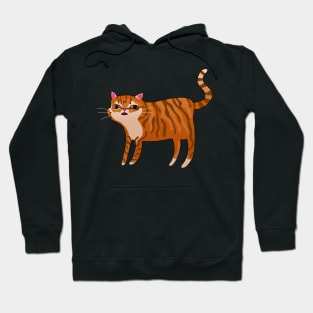 Goofy Orange Tabby Cat Hoodie